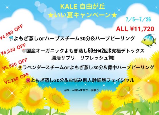 美しく輝いて Shining Beautifully